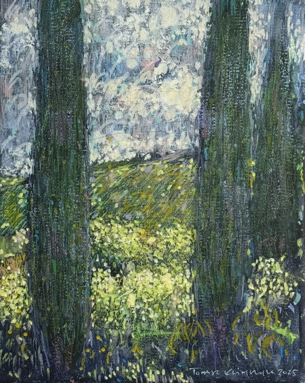 Widok od Matyldy w San Lorenzo w Toskanii 25x20 cm 1800.jpg